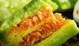 甜瓜概念爆料网站大全最新,概念爆料网站大全独家解读