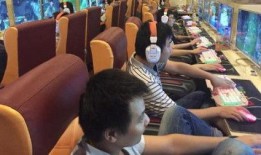 网吧大神小胖爆料视频大全,视频大全背后的精彩故事