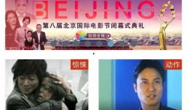 免费片在线观看网站,揭秘免费片在线观看网站的奥秘与风险